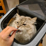 Expandable Cat Carrier Backpack