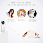 Laser Cat Toy