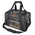 Cat Travel Carrier
