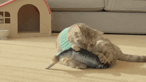Floppy Fish Cat Toy - I Love Kittys