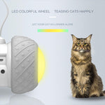 Interactive Robotic Cat Wheel Teaser Toy
