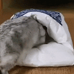 Japanese Cat Cave Sleeping Bag - I Love Kittys