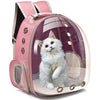 How to Choose a Cat Backpack: 7 Things You Should Know