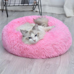 Fluffy Cat Beds