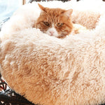 Fluffy Cat Beds