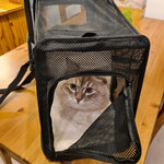 Large Expandable Cat Backpack - I Love Kittys