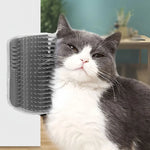 Gray and white cat beside a wall-mounted grooming brush