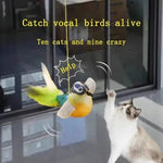 Chirping bird cat toy for indoor hunting play