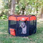 Black and red Armarkat playpen outdoors with a dog visible through the mesh door