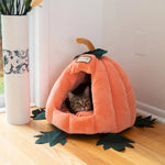 A cat looks out from the Orange pumpkin cave beside a window