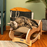 A tabby cat lounges on the Armarkat S1302 scratching chair