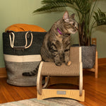 A cat sits on the corrugated surface of the Armarkat S1302 chair