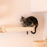 Tabby cat resting on W1907D wall scratching post in a room with separate cat furniture