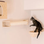 Cat reaching toward W1907D wall scratching post; other wall furniture shown is not included