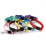Assorted breakaway cat collars with bells