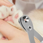 Cat nail scissors shown near a pet paw for at-home claw trimming