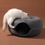 Cat exploring the recessed top of a dark gray felt donut tunnel bed with a rounded side entrance.