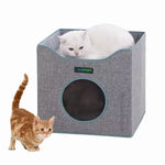 A white cat rests on the Smoke Gray JESPET cat cube with an orange tabby beside the cubby opening