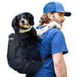Dog carried in a black Plus2 backpack; fit must follow the Small size guide