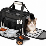 A small tabby-and-white cat in the black Carrier Plus with the included bowls, food containers and placemat
