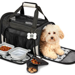 Black Carrier Plus with a small dog and the included feeding accessories