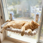 Cat resting on an oval fabric-covered window hammock attached to glass with suction cups.