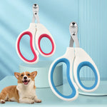 Red and blue pet nail scissors pictured with a small dog