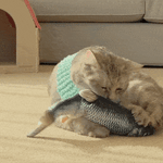 Floppy Fish Cat Toy - I Love Kittys