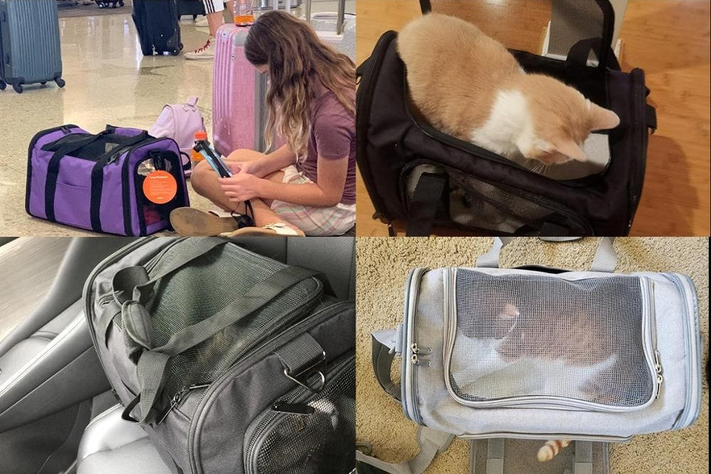 https://ilovekittys.com/cdn/shop/products/dog-carrier-dog-backpack-cat-transport-b_main-5.jpg?v=1641446408