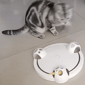 Interactive Mouse Pounce Cat Toy - I Love Kittys