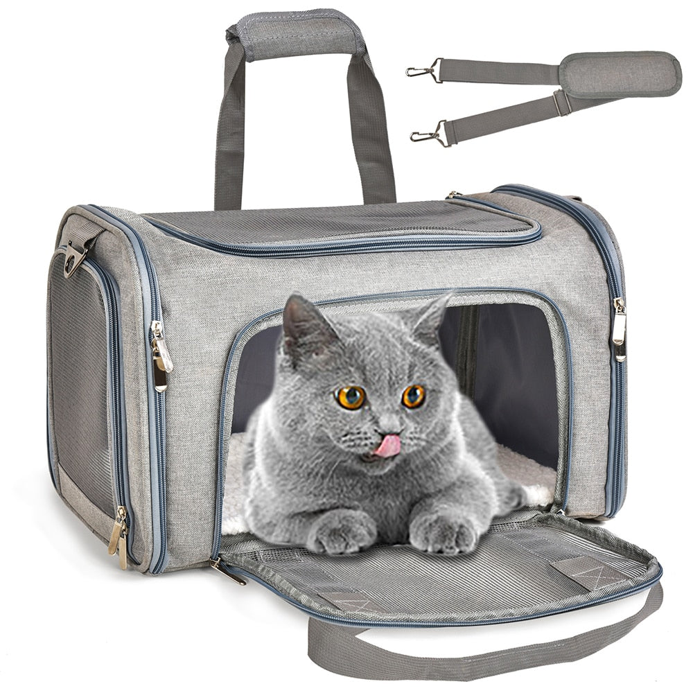 Airline Approved Cat Travel Carrier Bag – I Love Kittys